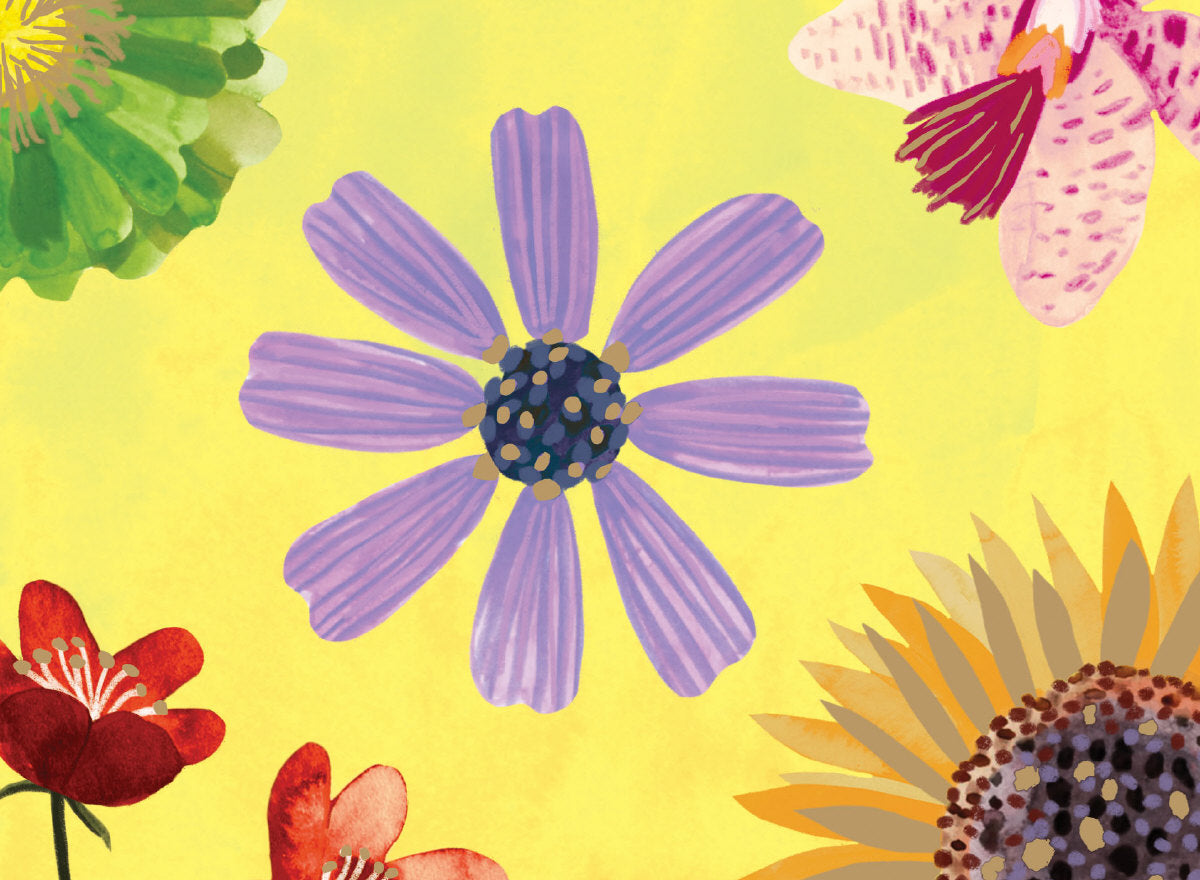 Roger la Borde Floral Supernova Chic Notecard Box featuring artwork by Katie Vernon