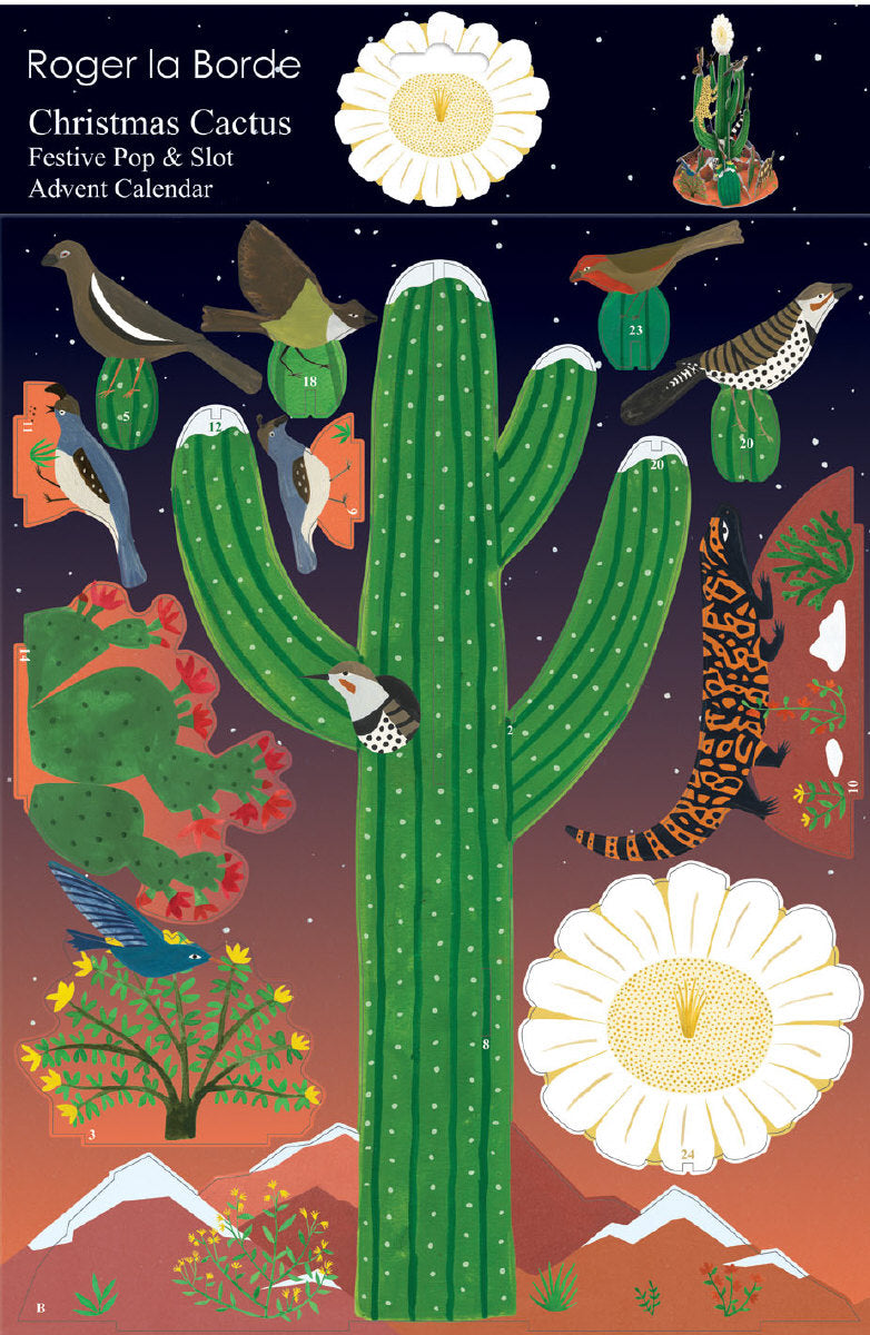 Roger la Borde Cactus Grove Pop & Slot Advent Large featuring artwork by Lara Hawthorne
