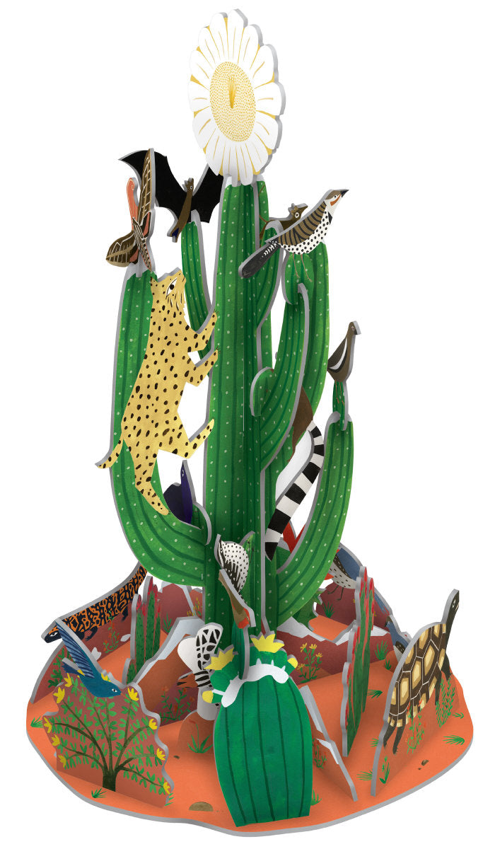 Roger la Borde Cactus Grove Pop & Slot Advent Large featuring artwork by Lara Hawthorne