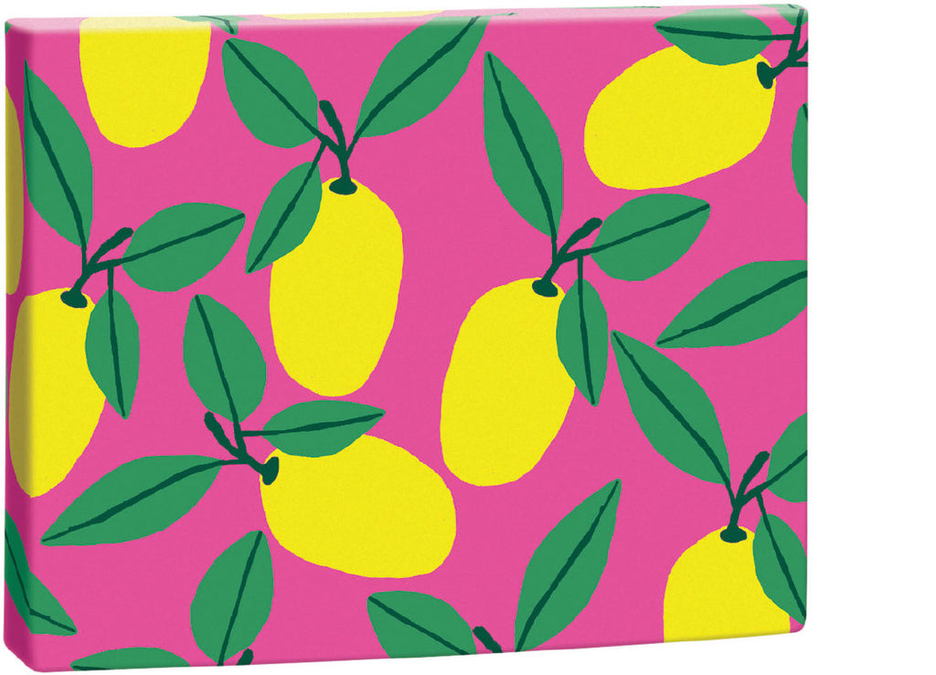 Roger la Borde Cute Fruit Chic Notecard Box featuring artwork by Anne Bentley