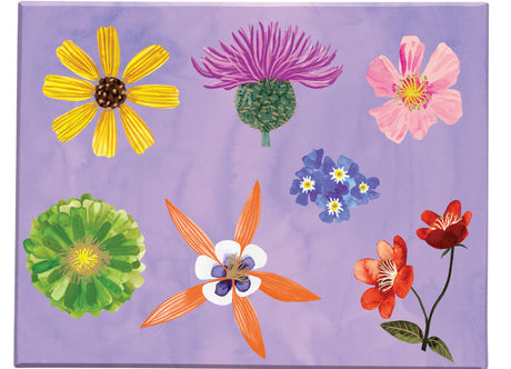 Roger la Borde Floral Supernova Chic Notecard Box featuring artwork by Katie Vernon