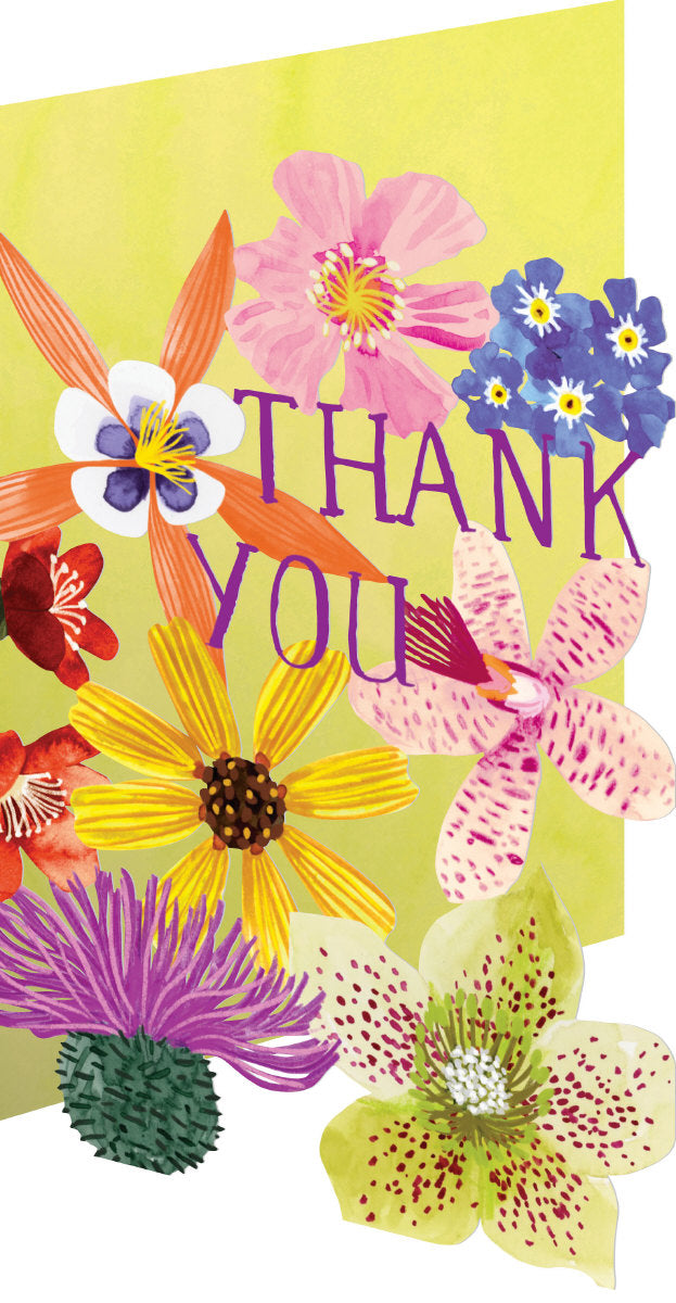 Roger la Borde Floral Supernova Lasercut card featuring artwork by Katie Vernon