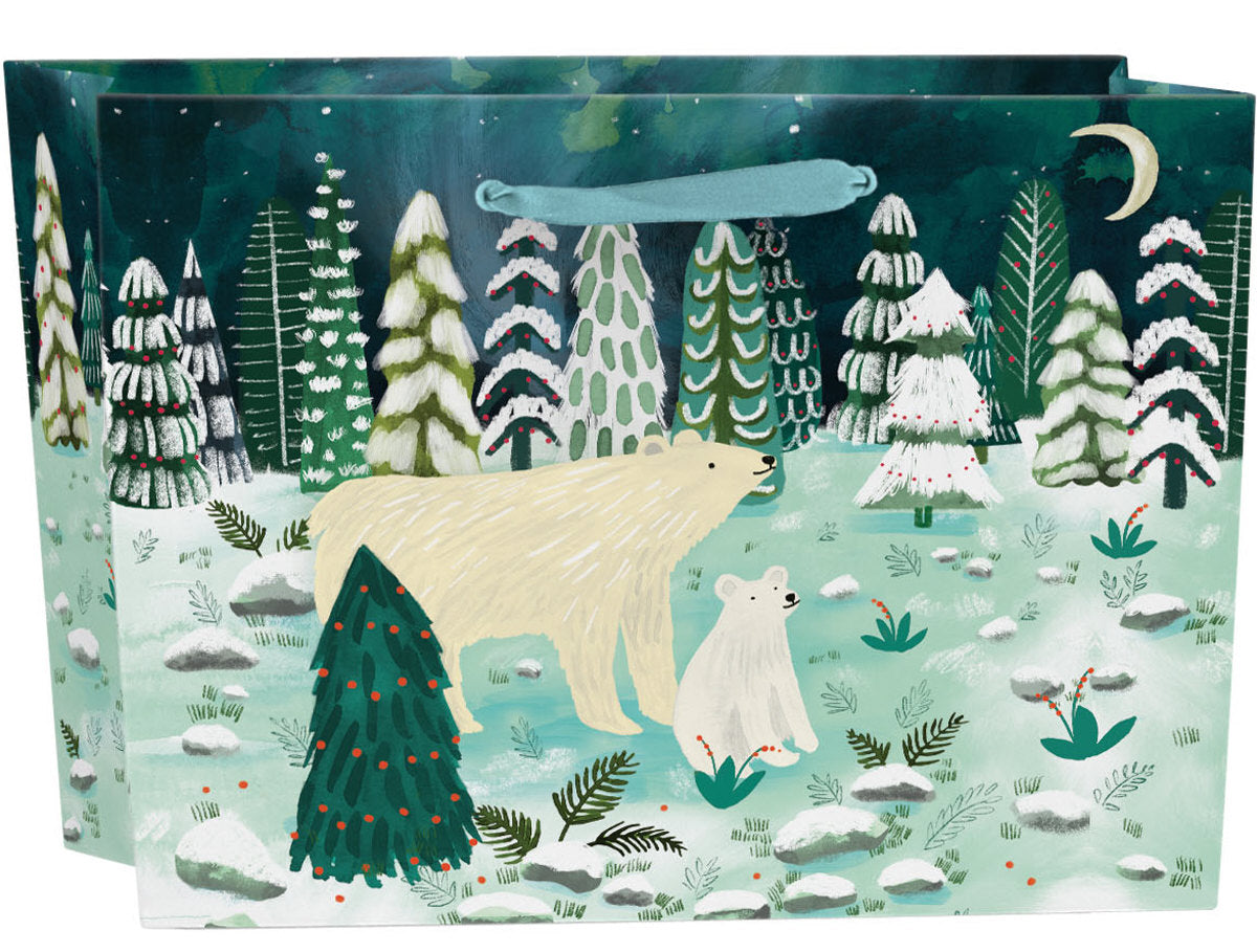 Roger la Borde Northern Lights Large Landscape Gift Bag featuring artwork by Katie Vernon