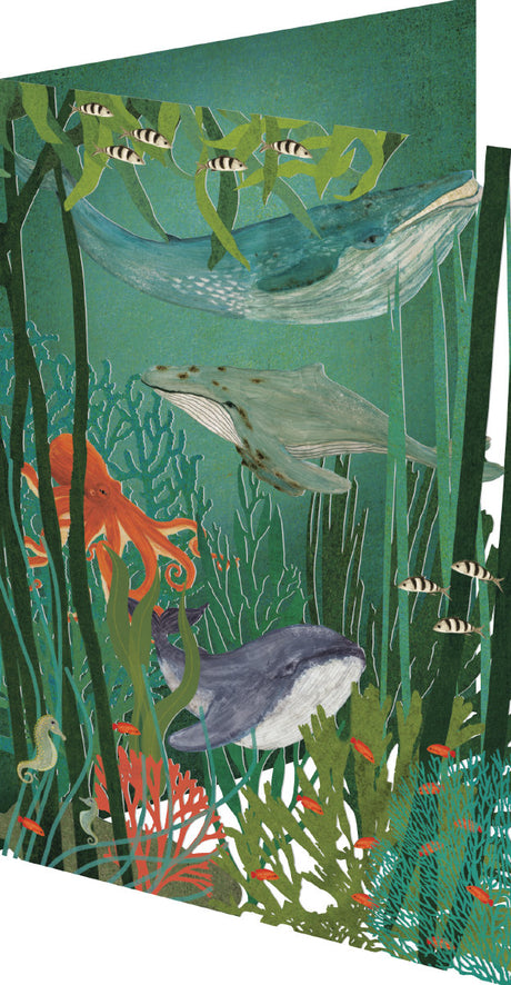 Roger la Borde Whale Song Lasercut card featuring artwork by Katherine Quinn