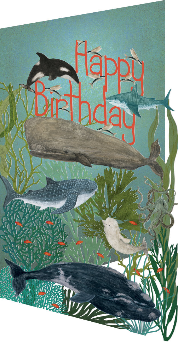 Roger la Borde Whale Song Lasercut card featuring artwork by Katherine Quinn