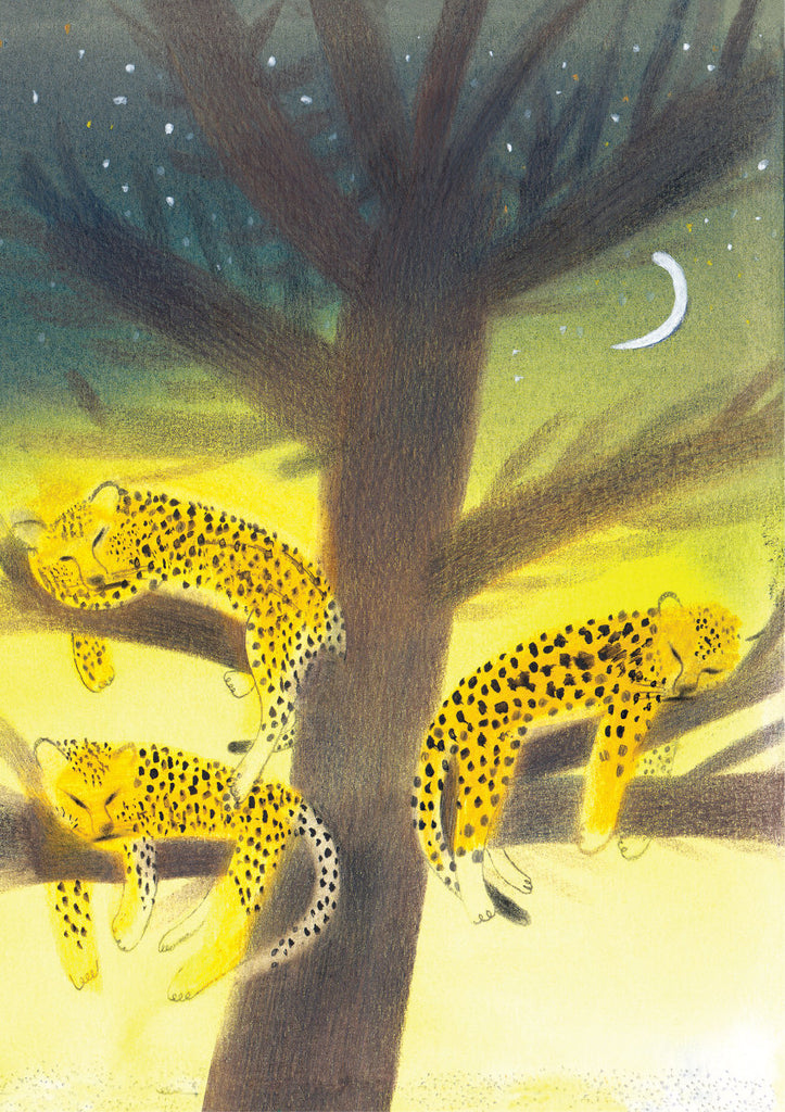 Roger la Borde Wilderness Greeting card featuring artwork by Laura Carlin