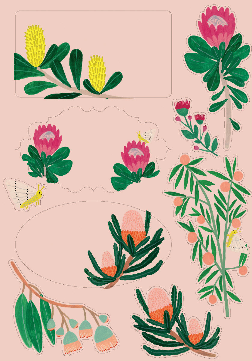 Roger la Borde King Protea Writing paper set featuring artwork by Kate Pugsley